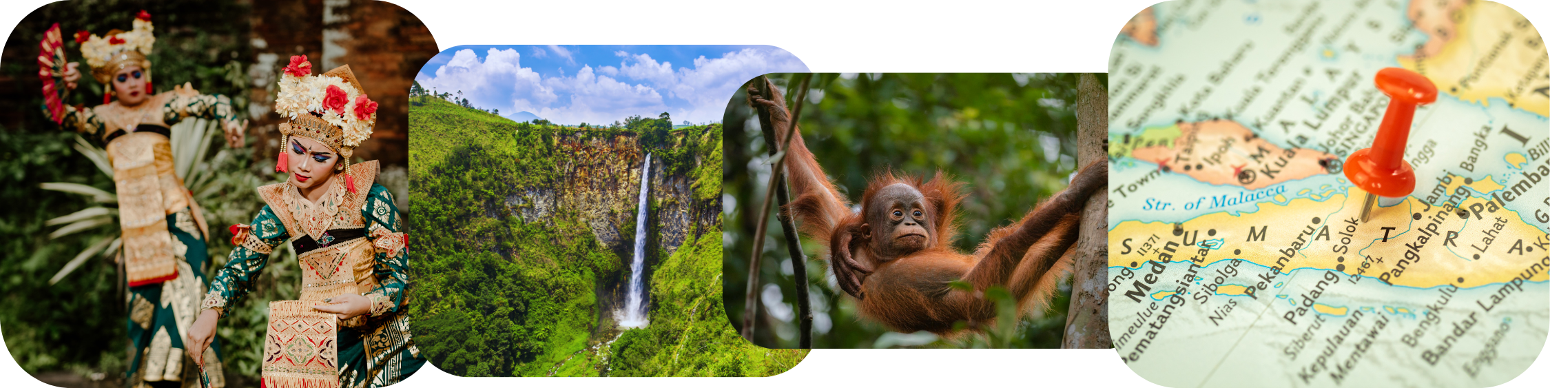 mailchimp-headerfooter(1)_2