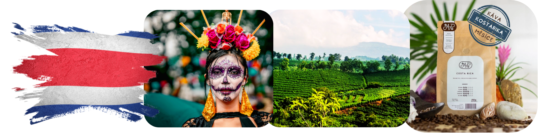 mailchimp-headerfooter(1)_4