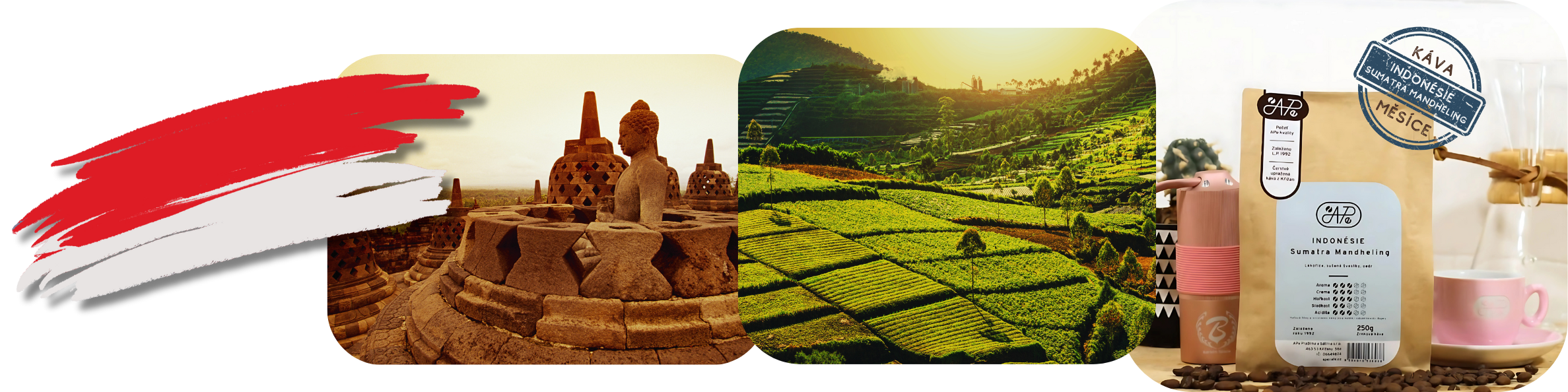 mailchimp-headerfooter_2