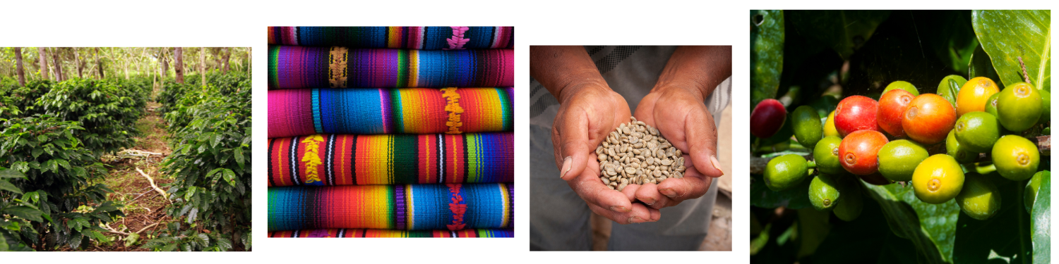 mailchimp-headerfooter(1)_1