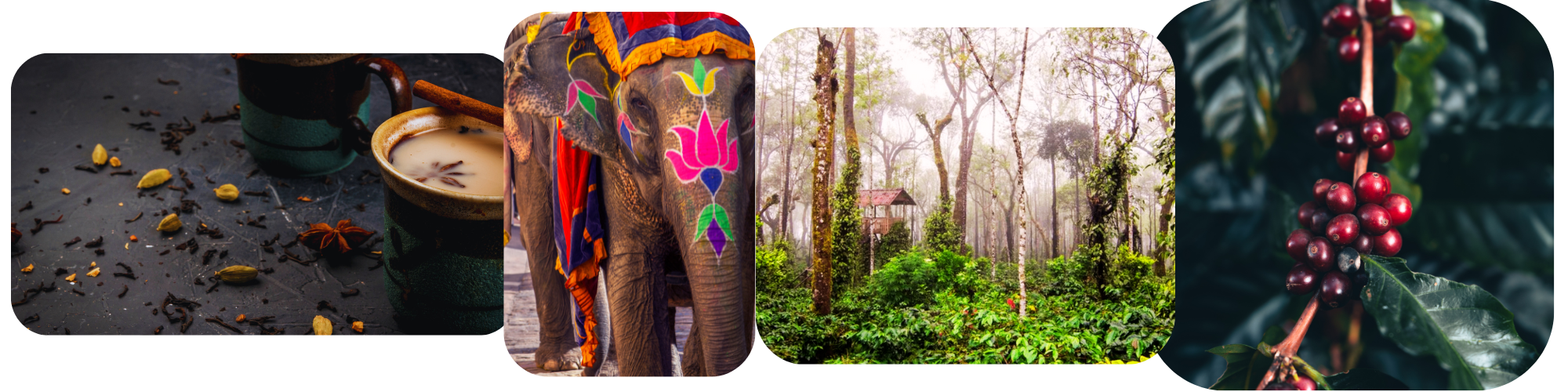 mailchimp-headerfooter(1)_12