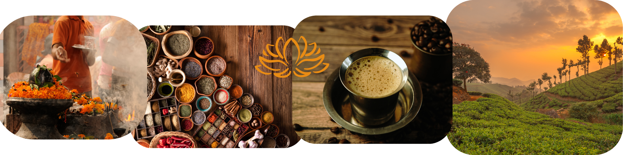 mailchimp-headerfooter(2)_4