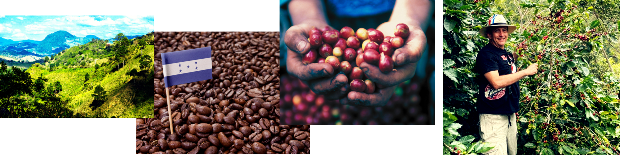 mailchimp-headerfooter(3)_2