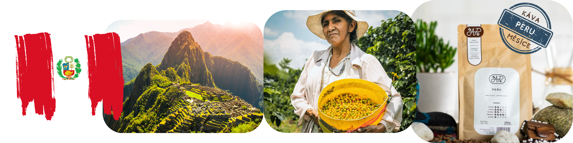 mailchimp-headerfooter_24