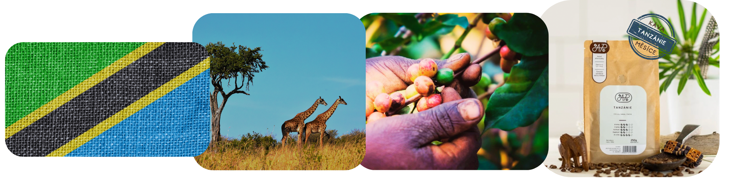 mailchimp-headerfooter_29