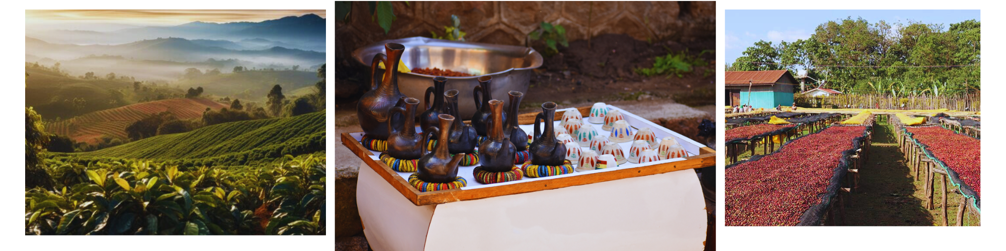 mailchimp-headerfooter_7