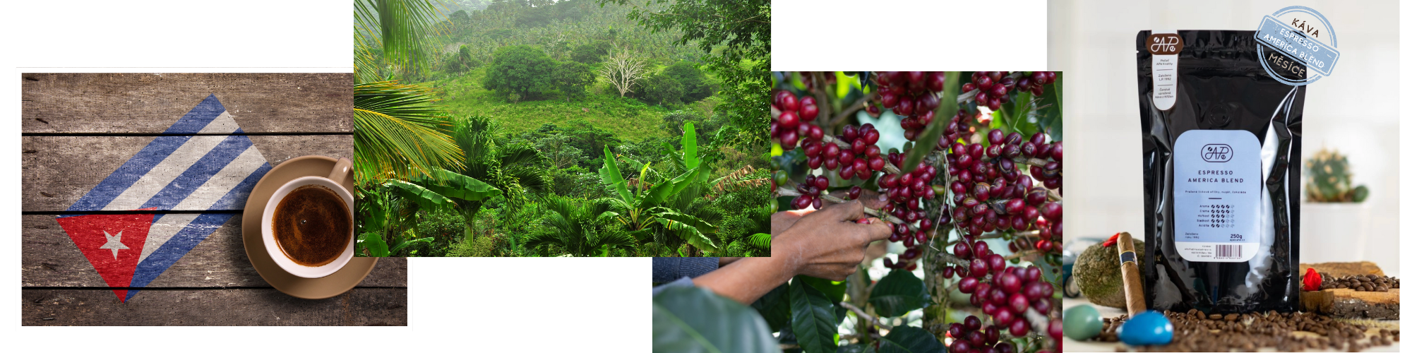 mailchimp-headerfooter_8